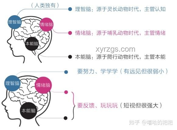 情绪背后的认知觉醒💡：你情绪不好，是因为认知不够