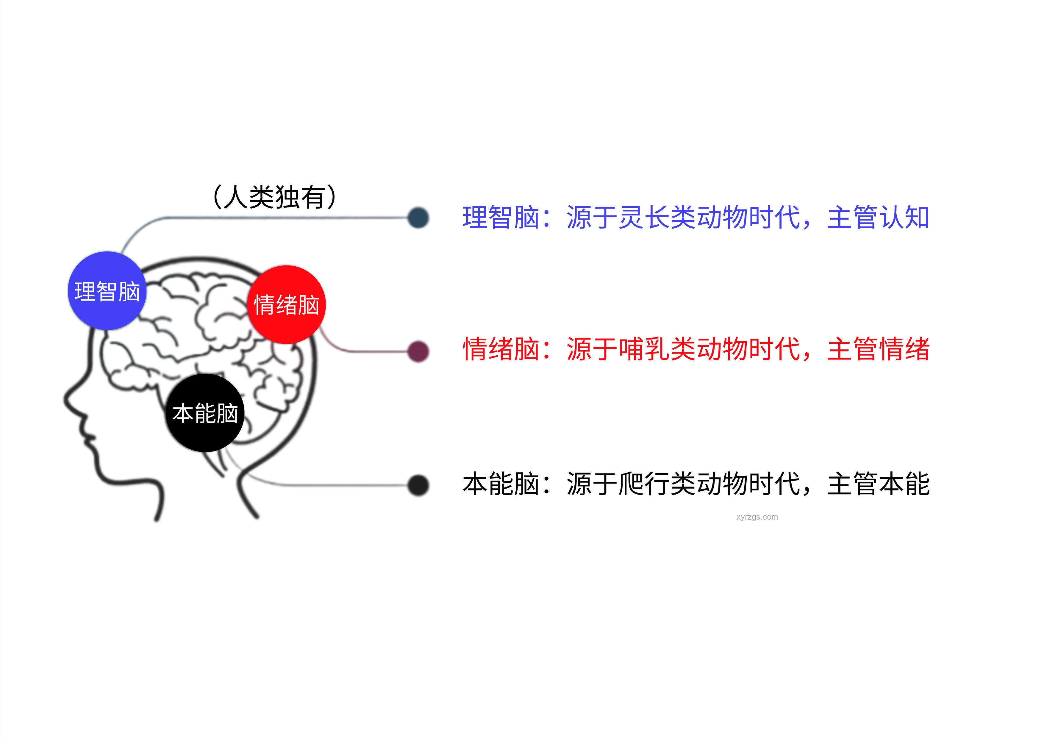 情绪背后的认知觉醒💡：你情绪不好，是因为认知不够